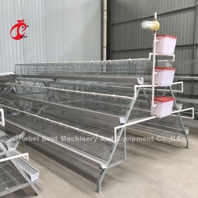 Gaiola galvanizada fria Adela da galinha da colocação de ovo das portas do sistema 40 da gaiola de bateria das aves domésticas