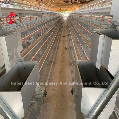 16 semanas Galinha ponha ovos A ou H Quadro Caixa de camada automática 15000 aves Emily