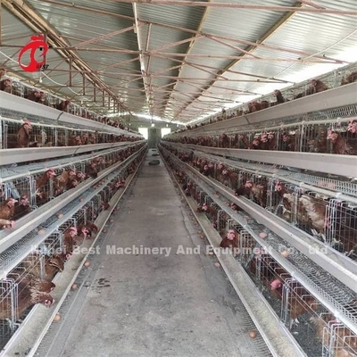 Uma espécie de Manual de Posição de Ovos de Galinhas Gaiola de Aves Emily