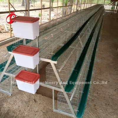 Sistema superior e de luxe do armazém de Nigéria das aves domésticas de bateria da gaiola para galinhas Sandy da camada