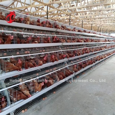Projeto da casa da dureza que coloca o sistema da gaiola de bateria da galinha com gaiola Mesh Iris