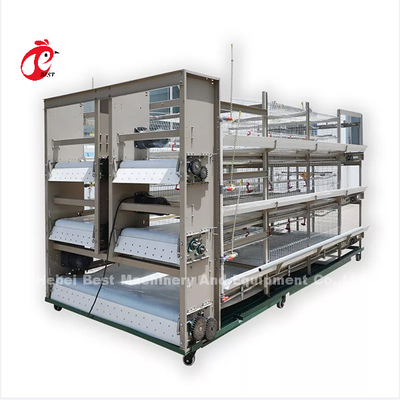 16 semanas Galinha ponha ovos A ou H Quadro Caixa de camada automática 15000 aves Emily