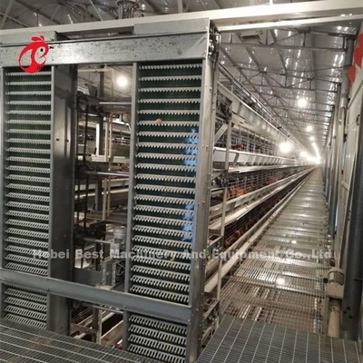 Caixa de camada galvanizada quente e profunda para 20.000 aves