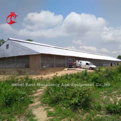 Caixa de camada galvanizada de aves de capoeira 3 Nível 120 Pássaros e 4 Nível 160 Pássaros camada de cultivo Caixa arenosa