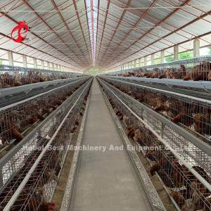 Gaiola da camada das aves domésticas das séries de Uganda 4 para a galinha 100 quilograma Mia da exploração agrícola da venda