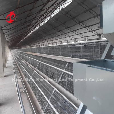 Fio Mesh Automatic Battery Cage System na exploração avícola Mia de Nigéria