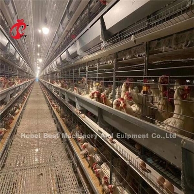 144 Aves Capacidade Caixa de camada tipo H para o frango comercial Mia