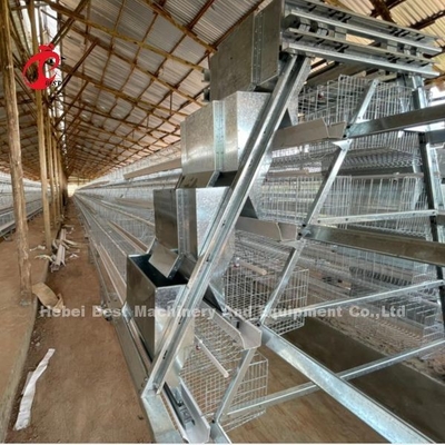 Galvanizado Alimentação de aves de capoeira Um tipo de sistema de gaiola automática para camadas Na Nigéria Popular Rose
