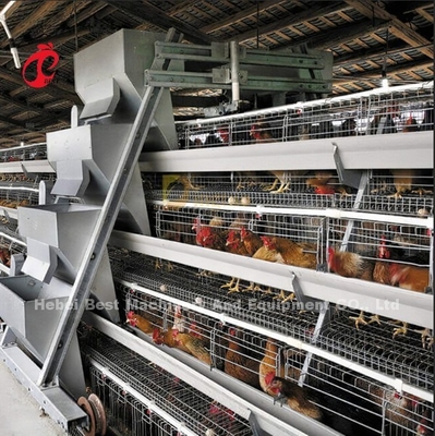 Um tipo sistema automático da gaiola do cultivo de aves domésticas para a estrela das camadas