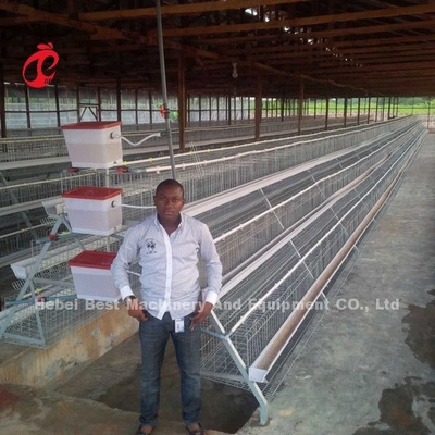 Preço da gaiola de bateria das camadas em Nigéria estrela de 12 pássaros da galinha 128 das semanas