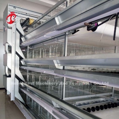Tipo completo gaiolas de H de bateria automáticas da galinha da camada 500 pássaros Adela