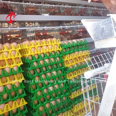 Do sistema automático da gaiola do cultivo de aves domésticas da gaiola da camada a camada de alta qualidade popular do ovo prende Rosa