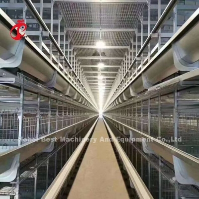 Um tipo gaiola de bateria da galinha da camada completamente automática para a grande exploração agrícola Adela