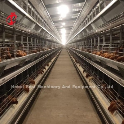 Um tipo gaiola de bateria da galinha da camada completamente automática para a grande exploração agrícola Adela