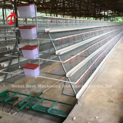 Desconte um tipo gaiola de bateria das aves domésticas para pássaros da venda 160 da camada em Zâmbia Adela