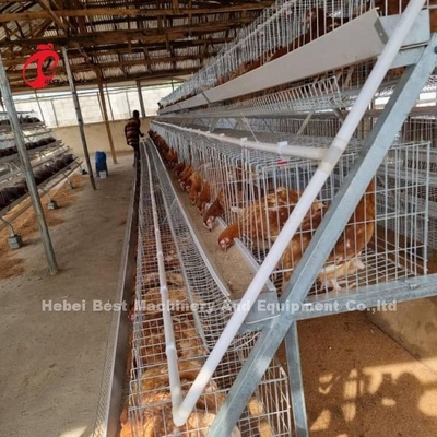 Desconte um tipo gaiola de bateria das aves domésticas para pássaros da venda 160 da camada em Zâmbia Adela