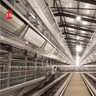 Sistema de gaiolas de criação de aves de capoeira de alimentação automática com canais de alimentação metálicos tipo H