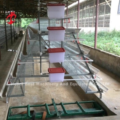 Venda quente Rosa das séries comerciais automáticas da gaiola 3 da galinha da camada do sistema da gaiola de bateria da camada