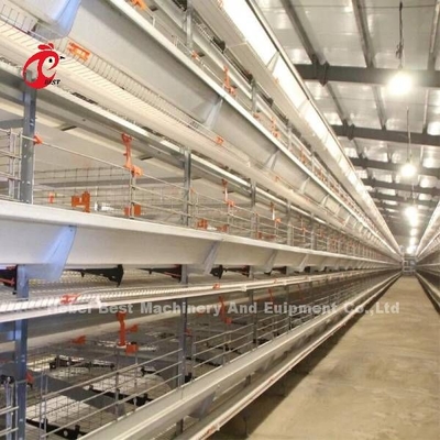 Tipo equipamento da bateria de exploração avícola da camada com a máquina de alimentação automática 9 séries Mia