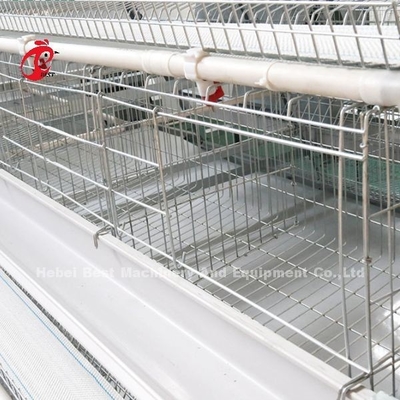 sistema da gaiola do cultivo de aves domésticas de 2.2m, gaiola de bateria de 9 séries para camadas Rosa