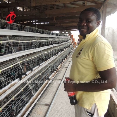 Tipo 4 Níveis 160 Aves Aves Frango Bateria Camada Caixa Estrela de Galvanização Quente