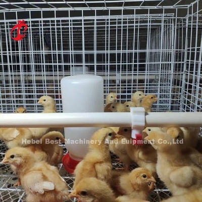 Equipamento de criação de aves de capoeira H-Type Battery Chicken Cage System For Broiler Mia