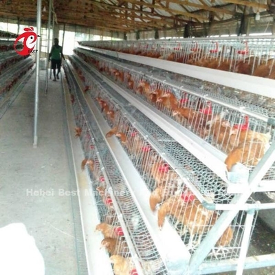 10000 da galinha camadas de bateria da camada prendem o espaço de salvaguarda semi automático Adela