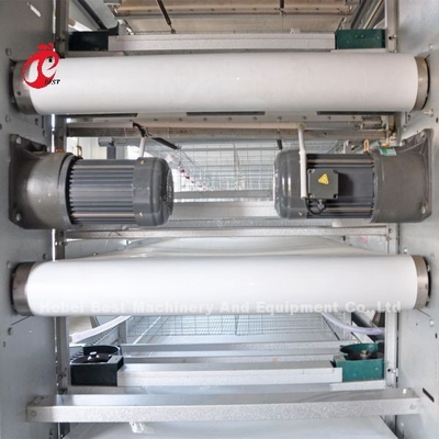 Tipo CE de H da gaiola da galinha de grelha, equipamento automático completo Adela da gaiola da grelha