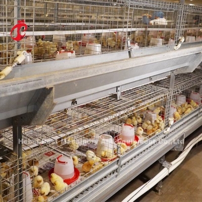 Anti corrosivo do sistema automático completo da gaiola do cultivo de aves domésticas em Nigéria Rosa