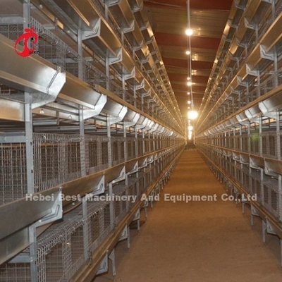 Anti corrosivo do sistema automático completo da gaiola do cultivo de aves domésticas em Nigéria Rosa