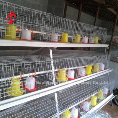 Tipo gaiola da bateria do ISO da criação de animais, gaiola da galinha de 3 séries para a íris da exploração avícola