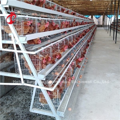 Salvar o sistema da gaiola do cultivo de aves domésticas da área, Ada comercial de 3 gaiolas da galinha das séries