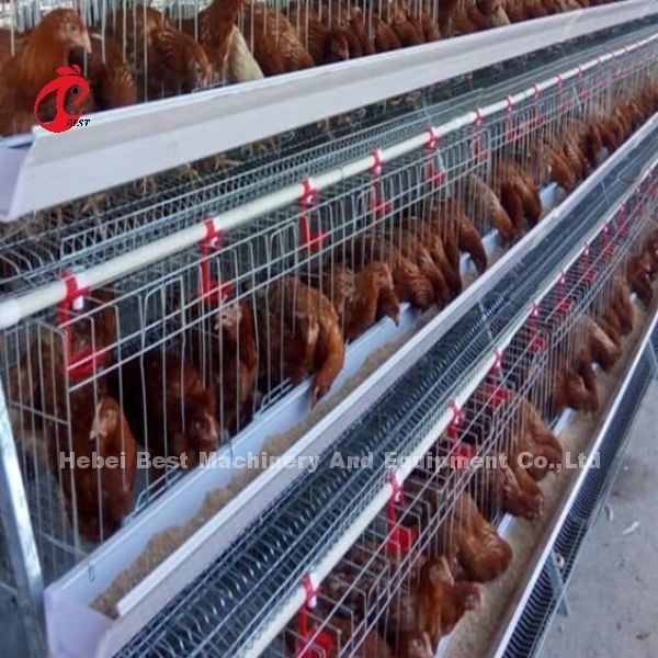 Um tipo de 4 níveis de prata galvanizado camada sistema de gaiola de bateria Adela