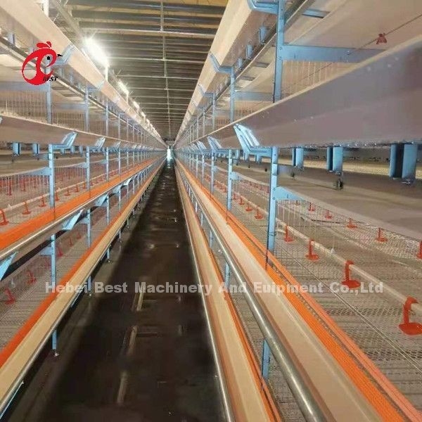 Melhor galvanizado 3 níveis 96 pássaros camada sistema de gaiolas de bateria no Quênia Farm Mia