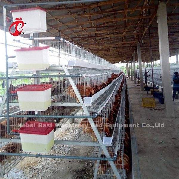 3.5mm sistema da gaiola de bateria das aves domésticas de 3 séries das séries 4 20 anos de tempo no Ada de Nigéria