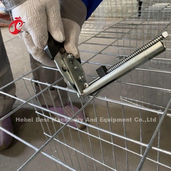 Galvanizado Tipo 3 ou Tipo 4 Pollo Pollo camada Bateria gaiola para 45.000 pássaros