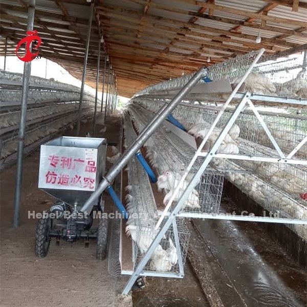 96 120 128 160 Pássaros 3 Nível E 4 Nível Camada Bateria sistema de gaiola para venda em Lagos Nigéria Sandy