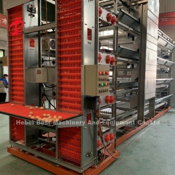 Equipamento automático de gaiola de frango de H Quadro 4 camada de criação de camada de gaiola para 50.000 fazenda Doris Shi
