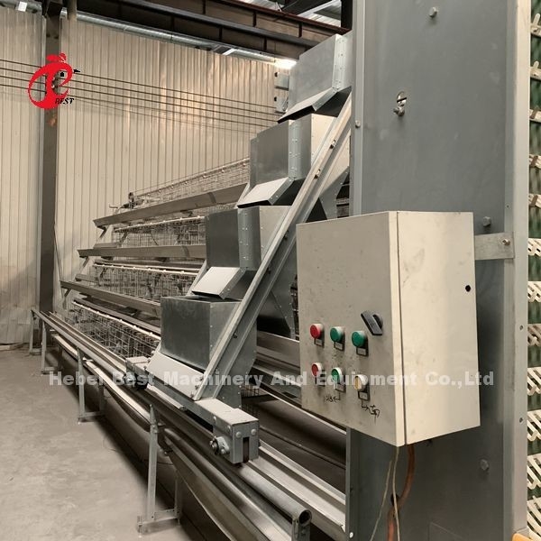 Preço da fábrica do equipamento totalmente automático profissional da gaiola da galinha para a íris da casa de galinha
