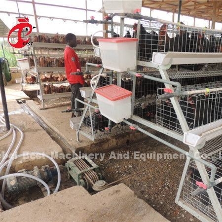 tipo máquina do raspador de 220V 380V da remoção do estrume para a estrela da casa de galinha das aves domésticas