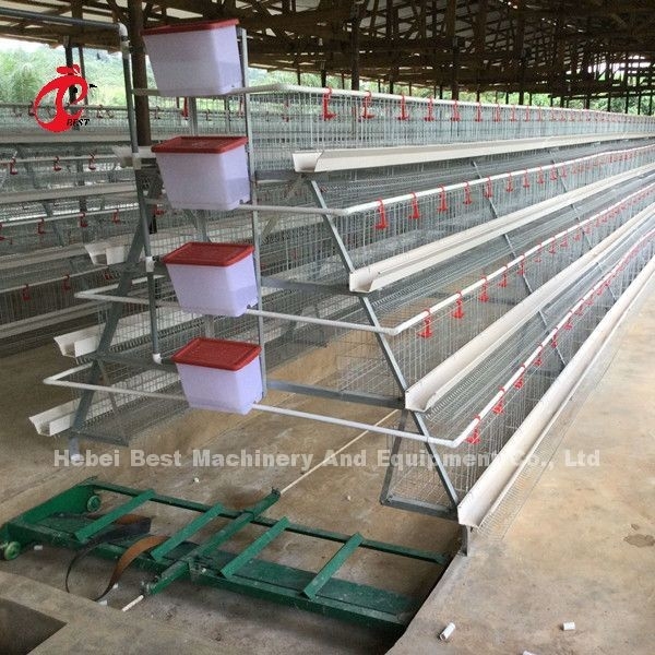 Aço carbono automático do equipamento da remoção do estrume do raspador do conjunto completo para a estrela da casa de galinha