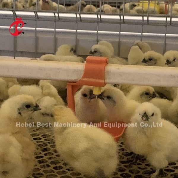 Prático 380V Cage Chick Brooder Para Dia Velha camada cultivador de frangos na África Iris Farm