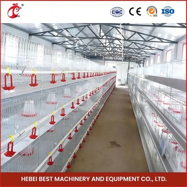 Comprimento automático galvanizado quente Mia dos pássaros 1.2m de Chick Brooder Cage 192 do bebê da franga
