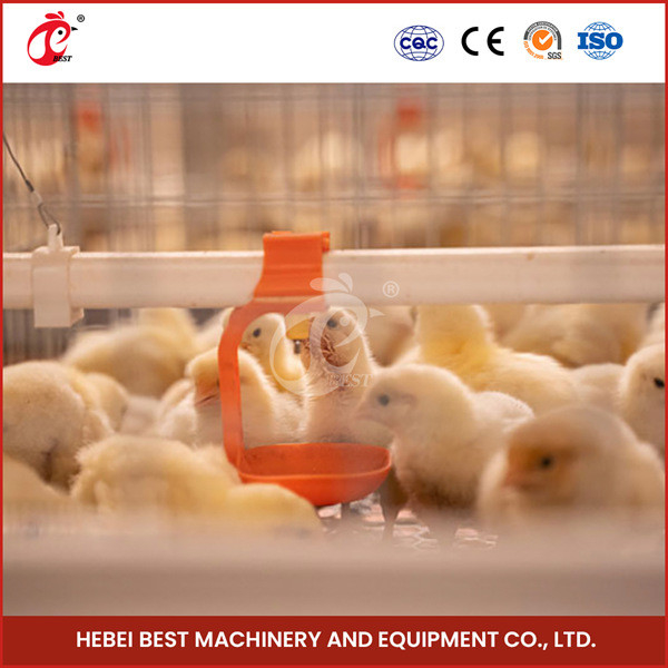Pintainhos velhos automatizados Rosa do cultivador da camada de Chick Brooder Cage For Day da bateria do bebê da franga