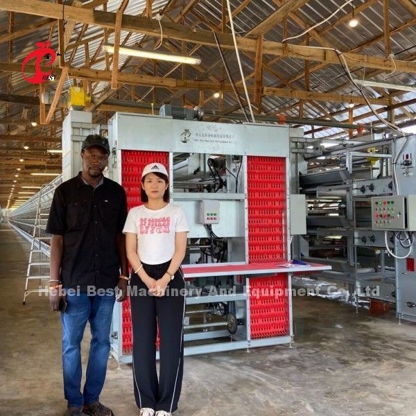 Caixa de bateria de frango galvanizado a quente de aço Q235 para Nigéria Gana Camarões Fazenda de frango Doris