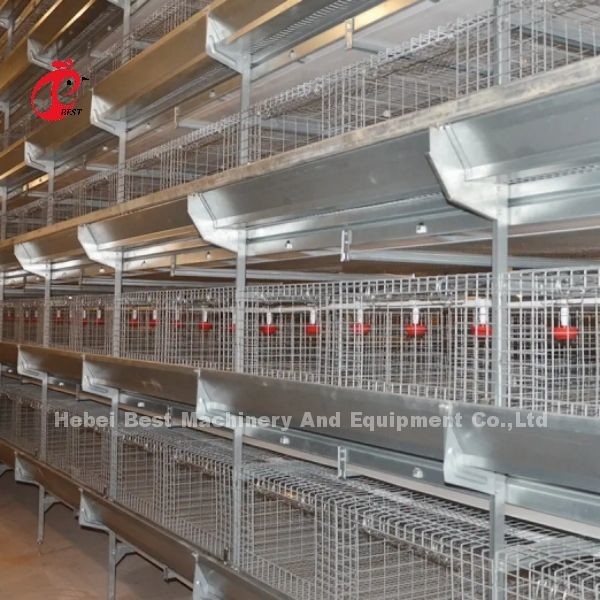 450cm2 Tipo H Sistema automático de gaiola de bateria de frango com alimentador Adela