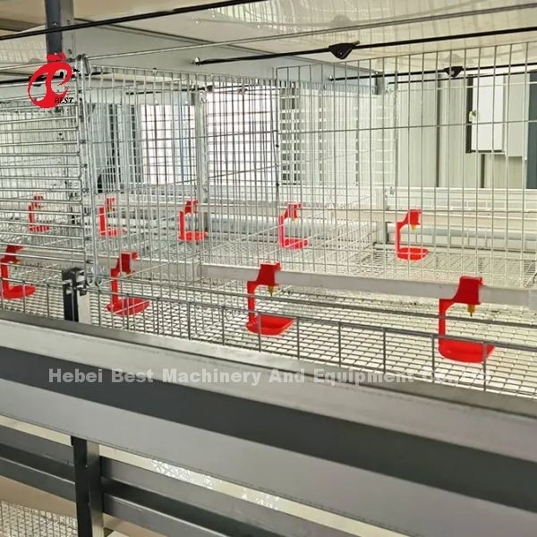 Q235 aço mais forte fio de galinha 1,5m por 2,2m por 1,75m Adela