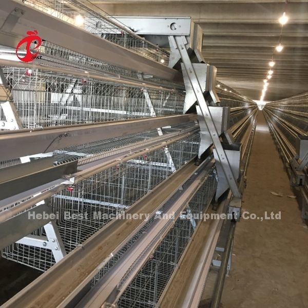 Sistema de gaiola de bateria de 3/4/5 camadas para camada automatizada de frango e avicultura íris
