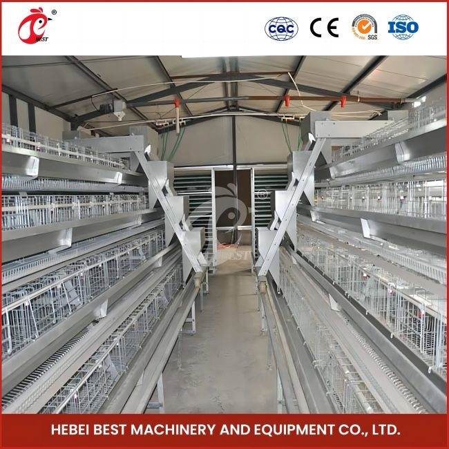 96 Aves Tipo H Caixa automática de frango / Caixa de frango de tipo broiler com porta deslizante Rose