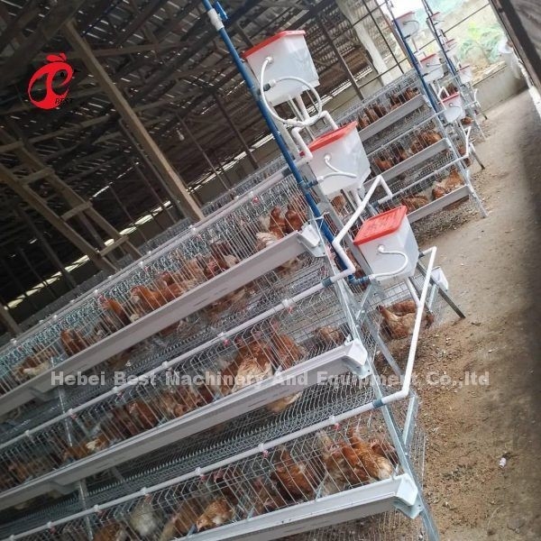 A criação de galinhas é fácil com a gaiola de camada de aves de capoeira em A ou H Tipo 450cm2 Ada